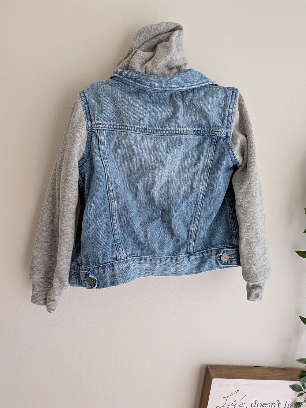 GAP Light Blue Denim Jacket with Gray Hoodie Sleeves - Picture 6 of 6